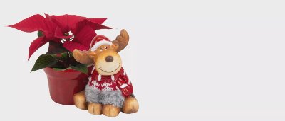 Мини коледна звезда Ø6 см